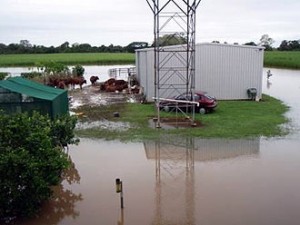 flood prone land sheds flood certificates
