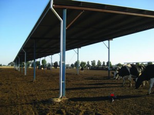 Shade shelter open sides dirt pad lot