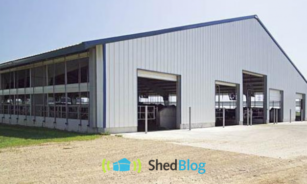 Free Stall Sheds and Shade Shelters in the Dairy Industry Part 2