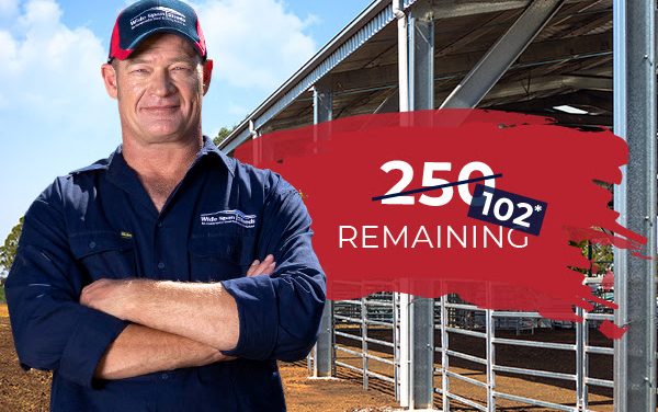 Wide Span Sheds Winter Special prices for up to 250 Sheds only