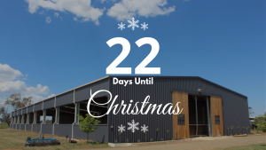22 Days Until Christmas