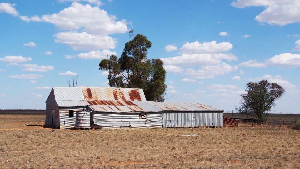 Old Shearing Shed near Jerilderie NSW along the Newell Highway
