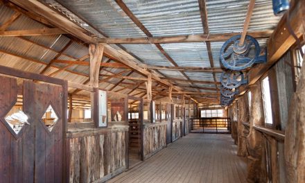 The Evolution of the Australian Shearing Shed
