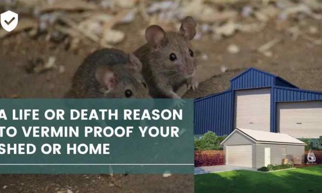 A Life or Death Reason to Vermin proof your Shed or Home