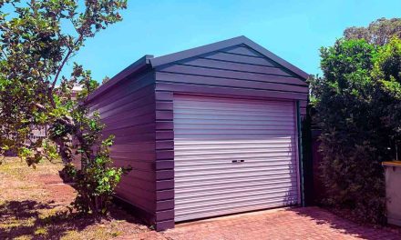 Survivalist Shelters: Why Steel Sheds are the Best