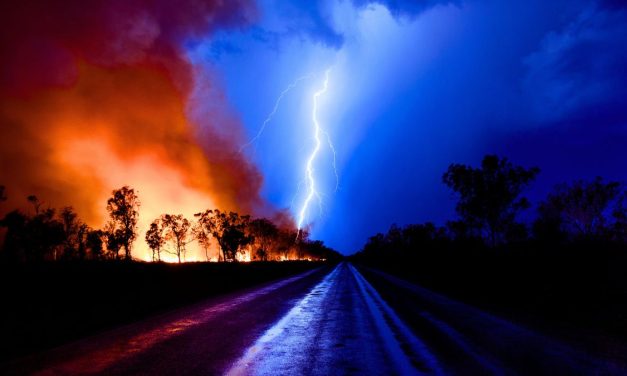 Bushfire Preparedness: From Causes to Warning Signs & More!