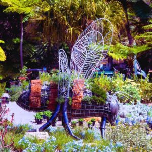 Mount Annan Botanic Garden