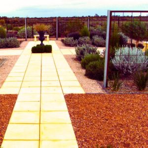 Arid Lands Botanic Garden, Port Augusta
