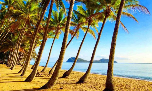 An Odyssey: The Best Sea Life Adventures in Australia