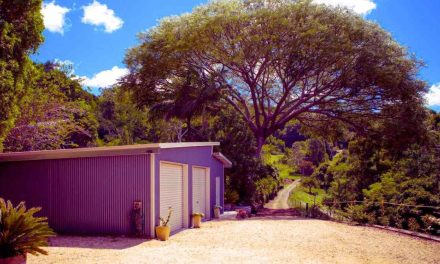 How to Best Tackle Common Steel Shed Problems With Ease