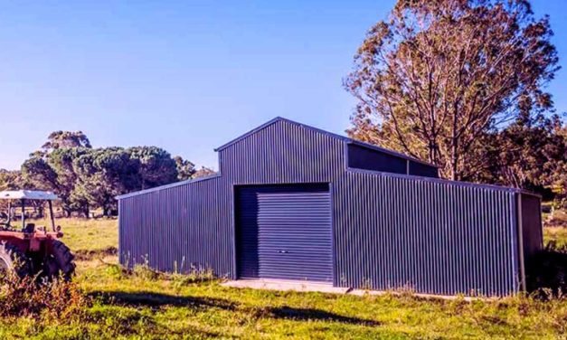Investing Wisely: Evaluating the Benefits of Custom Steel Shed Construction
