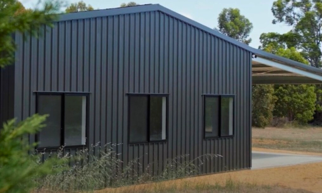 Complete Guide to Shed Windows & Doors: Light, Ventilation & Style for Every Steel Shed