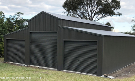 Keep the Pests Out: Recommended Vermin Seals for Best Sheds