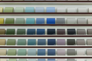 color palette