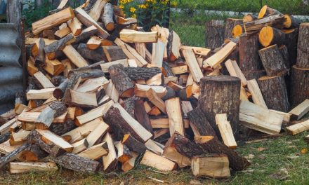 How to store your firewood outdoors to keep it dry and safe