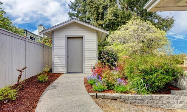 What Can You Store in a Shed? A Practical Guide to Organising Your Backyard Tool Haven