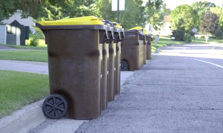Best Practices for Same-Day Rubbish Collection at Home