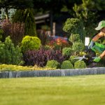 Professional Landscape Gardener Cutting and Trimming Decoration