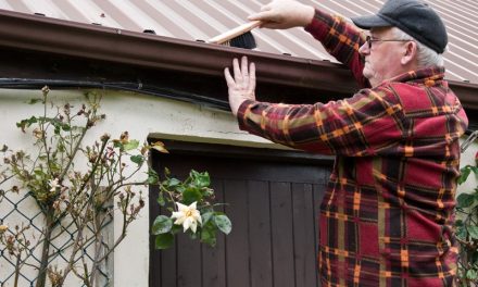 6 Essential Home Maintenance Jobs to Get On Top Of