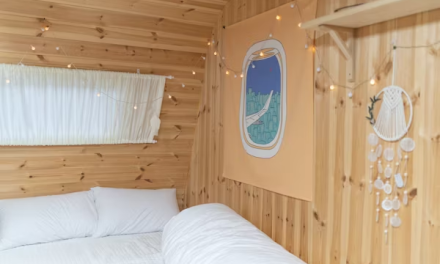Transform Your Backyard Shed Into a Stunning Multi-Purpose Retreat