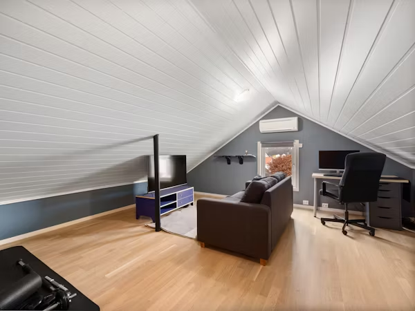 shed attic