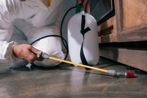 Cropped image of pest control worker spraying pesticides on floor