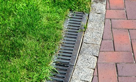 The Role of Proper Drainage in Outdoor Spaces