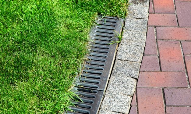 The Role of Proper Drainage in Outdoor Spaces