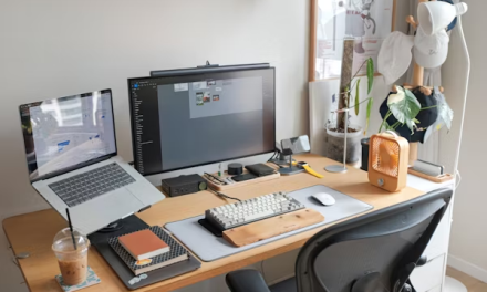 Transforming Your Backyard Shed: The Complete Guide to Adding Essential Services