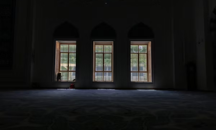 Transforming Your Backyard Shed Into a Stunning Multipurpose Living Space