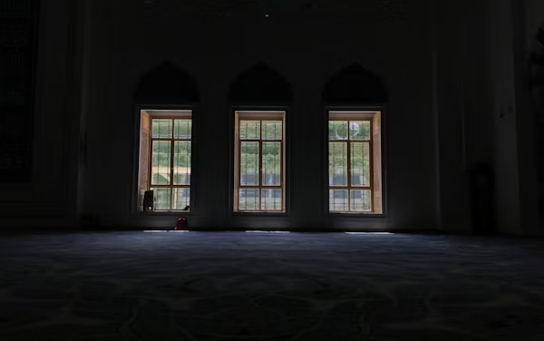 Transforming Your Backyard Shed Into a Stunning Multipurpose Living Space