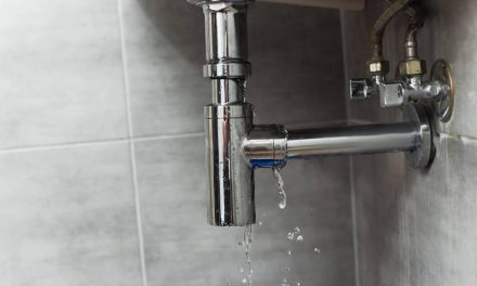 Consequences of Ignoring Minor Water Leaks