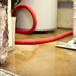 Water damaged basement