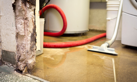Why Delayed Water Damage Response Can Cost More Over Time