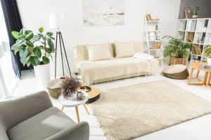 cozy living room