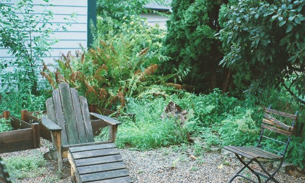 Choosing the Right Equipment for Your Backyard Renovation