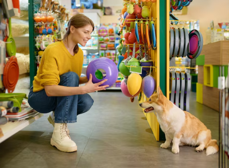 A woman kneels in a pet store, showing a large purple toy to a Corgi