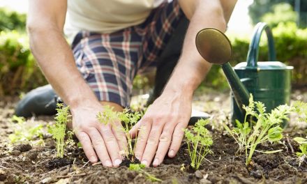 Top Gardening Tools You Can Hire to Make Yard Work Easier