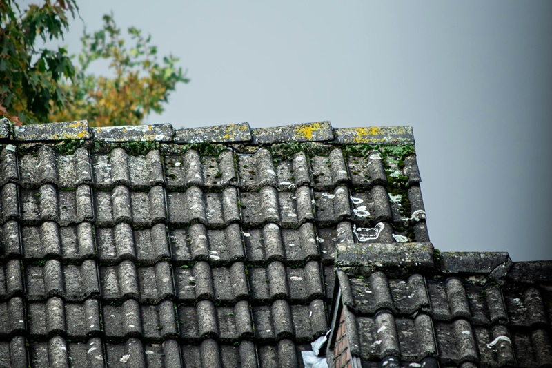 Weathered grey roof tiles are dotted with moss