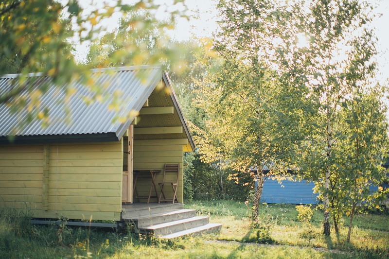 Wooden Shed Beside Trees