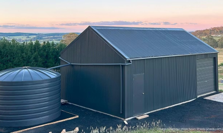 Stop Your Shed from Sweating: How to Prevent Condensation in Steel Sheds