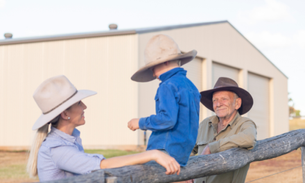 Planning a Shed in Australia? Here’s What It Really Costs (and What to Know First)