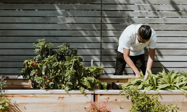 Making Your Garden Work for Everyday Life