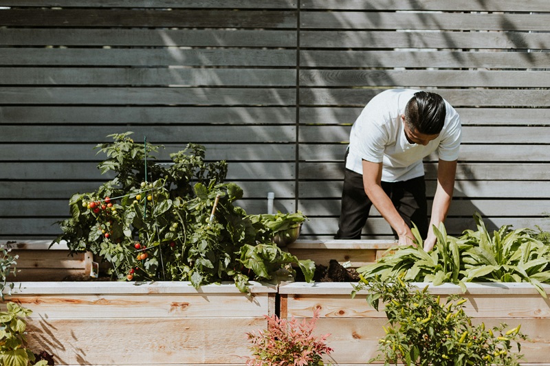 man in white t-shirt and black pants planting