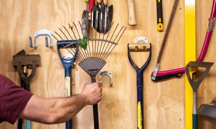 Shed vs Garage: Which Storage Solution Is Better?