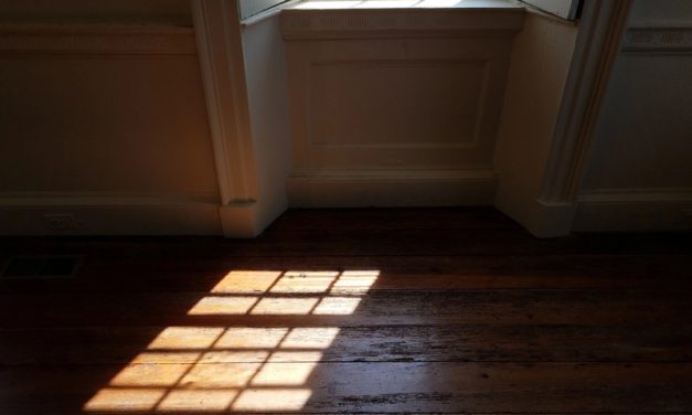 What Causes Timber Floors to Fade, and Can It Be Fixed?
