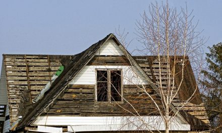 How Shed Demolition Improves Outdoor Space and Property Safety