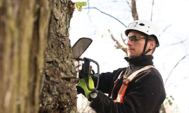 Choosing Commercial Outdoor Power Equipment Consumables