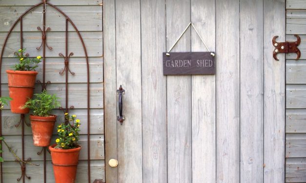 Top Tips To Restore Your Love Of The Shed Once More