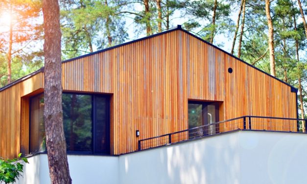 How to Maintain Timber Cladding: Cleaning, Oiling, and Long-Term Care